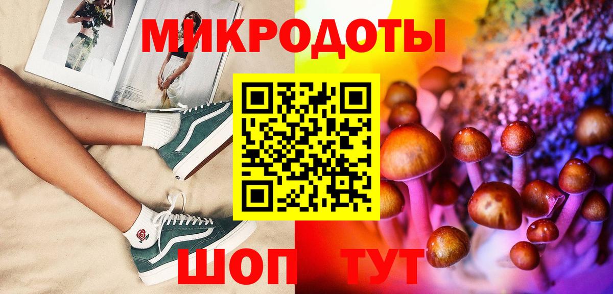 Галлюциногенные грибы Psilocybine cubensis  Вход с VPN  Алексеевка  Галлюциногенные грибы Psilocybe 